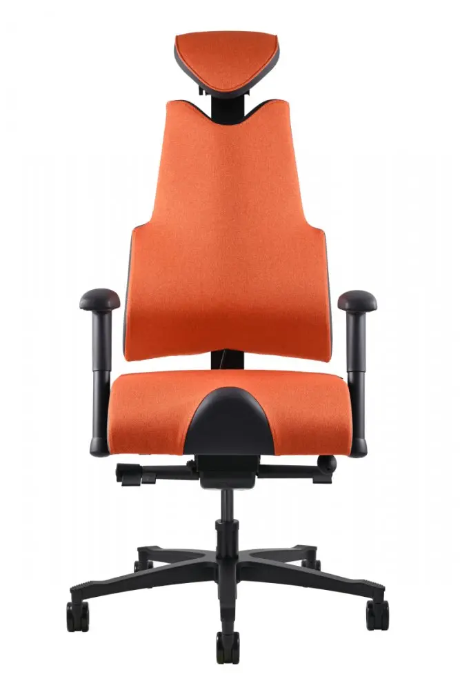 Prowork Therapia Body+
