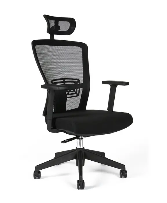 Office Pro Themis SP